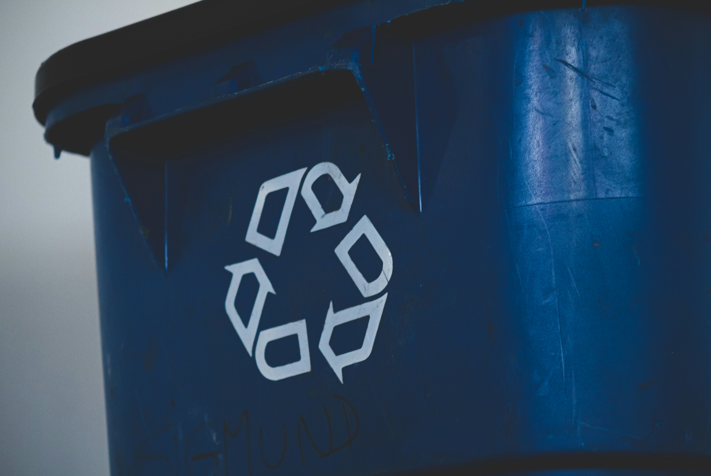 imagenes/fotos_noticias/compagnons-aI4RJ--Mw4I-unsplash.png