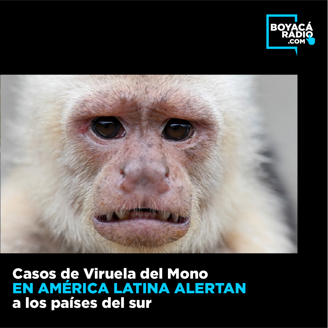 Foto: TWITTER. Edición: BRPrensa Digital - Angie Sánchez
